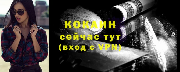 гашик Зерноград