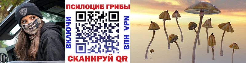 Купить  Семёнов  Псилоцибиновые грибы Magic Shrooms 